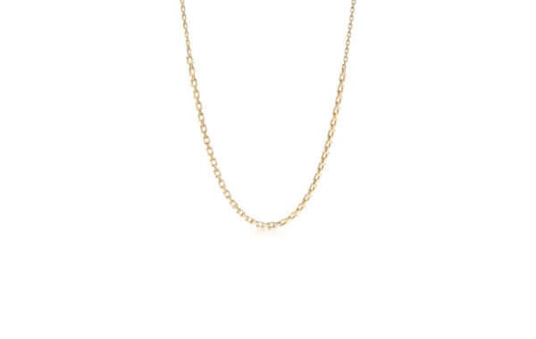 Gold Chain Necklace