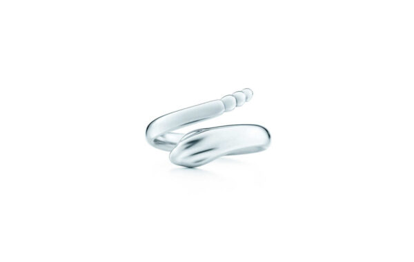 Titanium Snake Ring