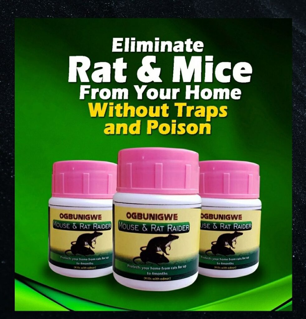 photo_2025-02-05_16-31-43